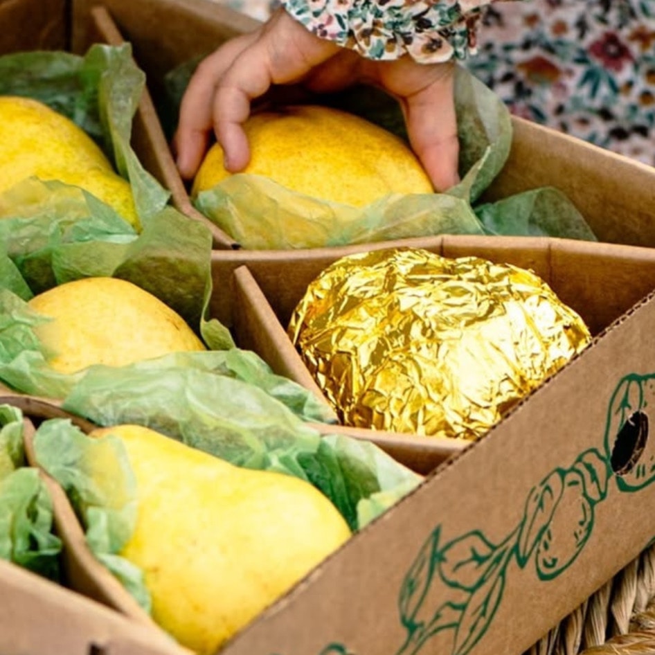 The Best Vegan Gifts Are at Harry & David