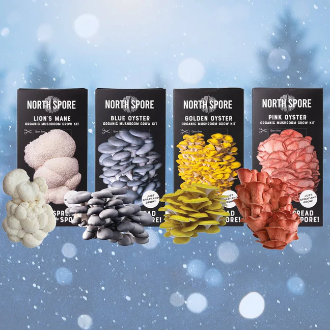 gift-a-year-of-mushrooms-1202895610